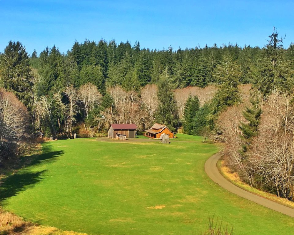 A large field with trees in the background